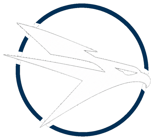 Sokol Technologies falcon mark